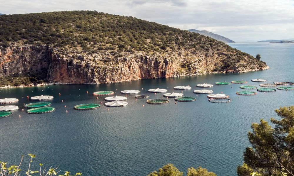 Γεωργαντάς Η ιχθυοκαλλιέργεια «πρεσβευτής» της Ελλάδας στο εξωτερικό